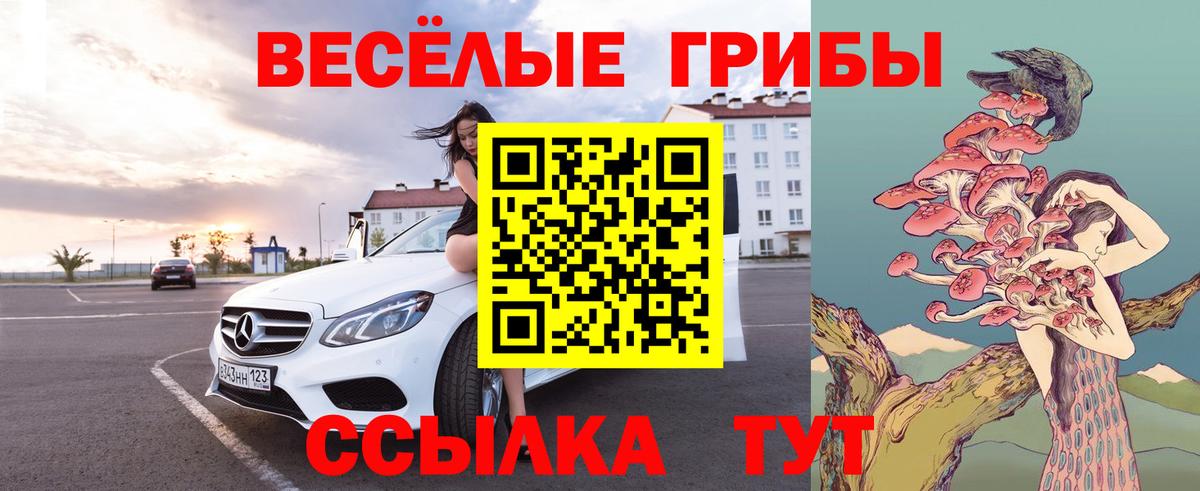 Галлюциногенные грибы GOLDEN TEACHER  Вход с VPN  Ртищево 